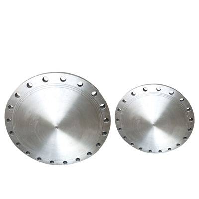 SS 316L Blind Flanges
